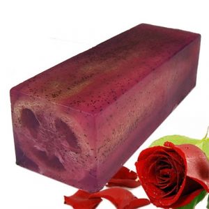 https://kyotobathbomb.com/wp-content/uploads/2023/09/loofa-soap-1-300x300.jpeg